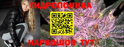 альфа пвп Берёзовский