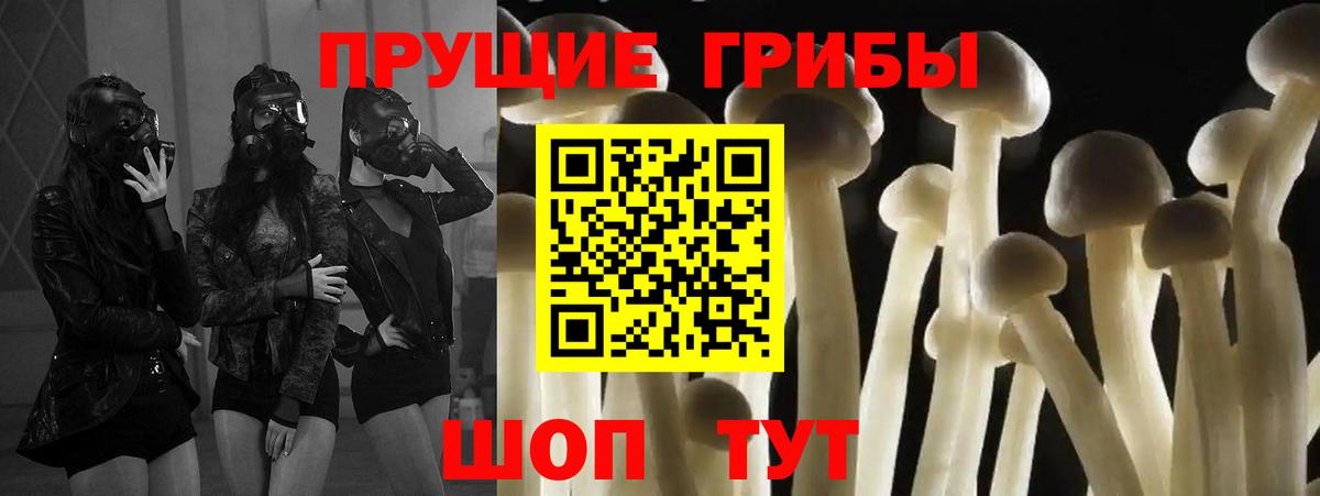 Звенигород  Галлюциногенные грибы Psilocybe  Галлюциногенные грибы MAGIC MUSHROOMS  Вход с VPN 